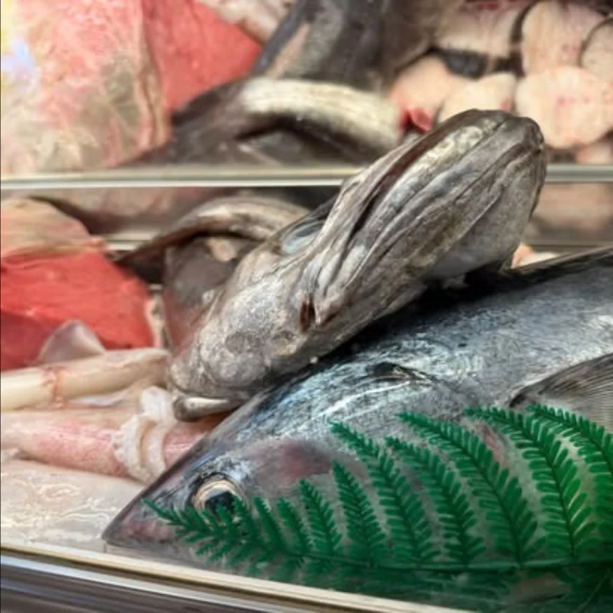 Merluza y pescado fresco